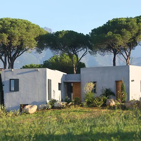 Paolina * Calvi (Corsica)