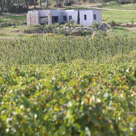 Paolina * Calvi (Corsica)