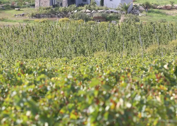 Paolina * Calvi (Corsica)